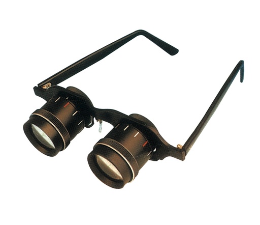 [DSL-3156  2.5X25] LOW VISION SPORT GLASSES